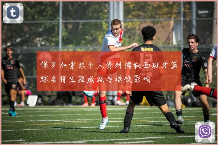 保罗加索尔个人资料揭秘西班牙篮球名将生涯成就与退役影响